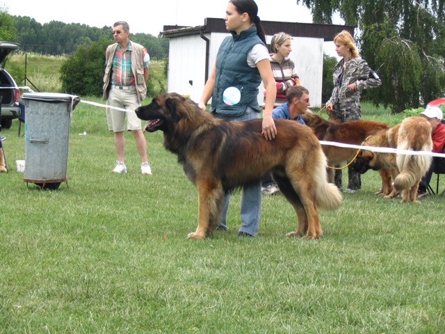 05.JPG