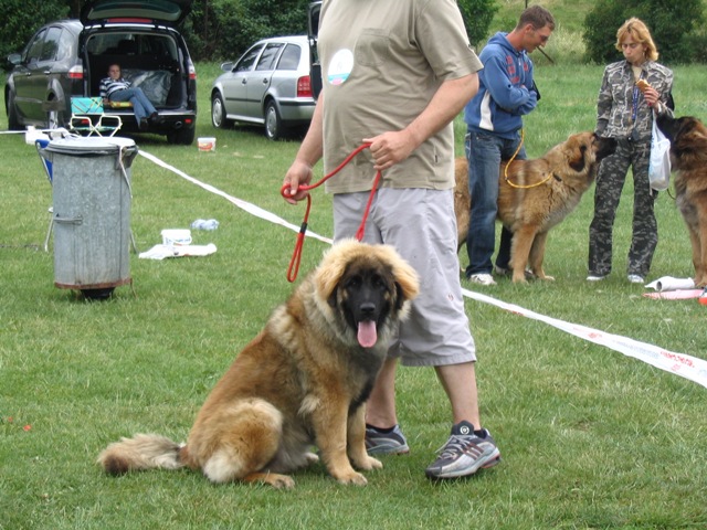 08.JPG
