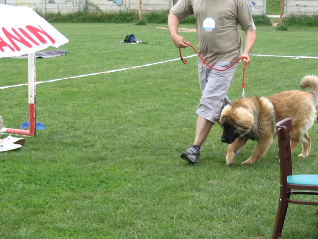 09.JPG