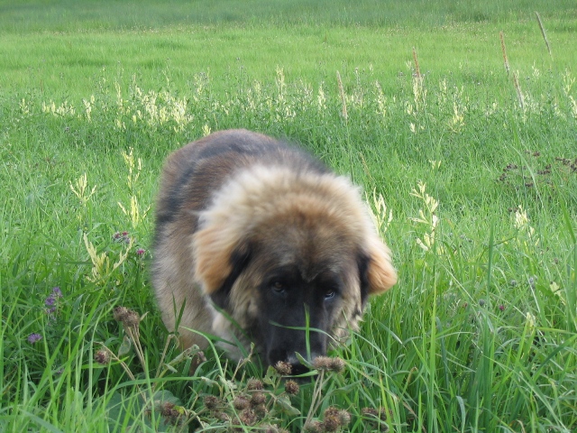 04.jpg