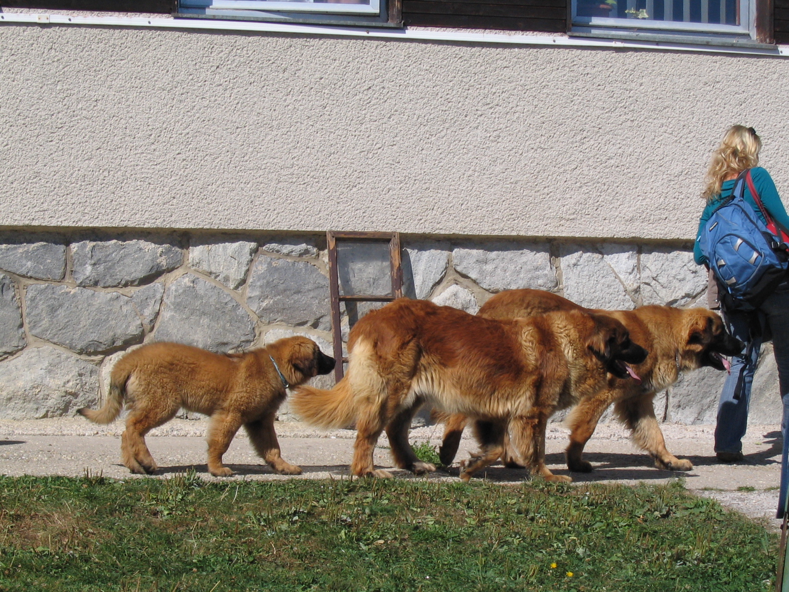 Tajov 078.jpg