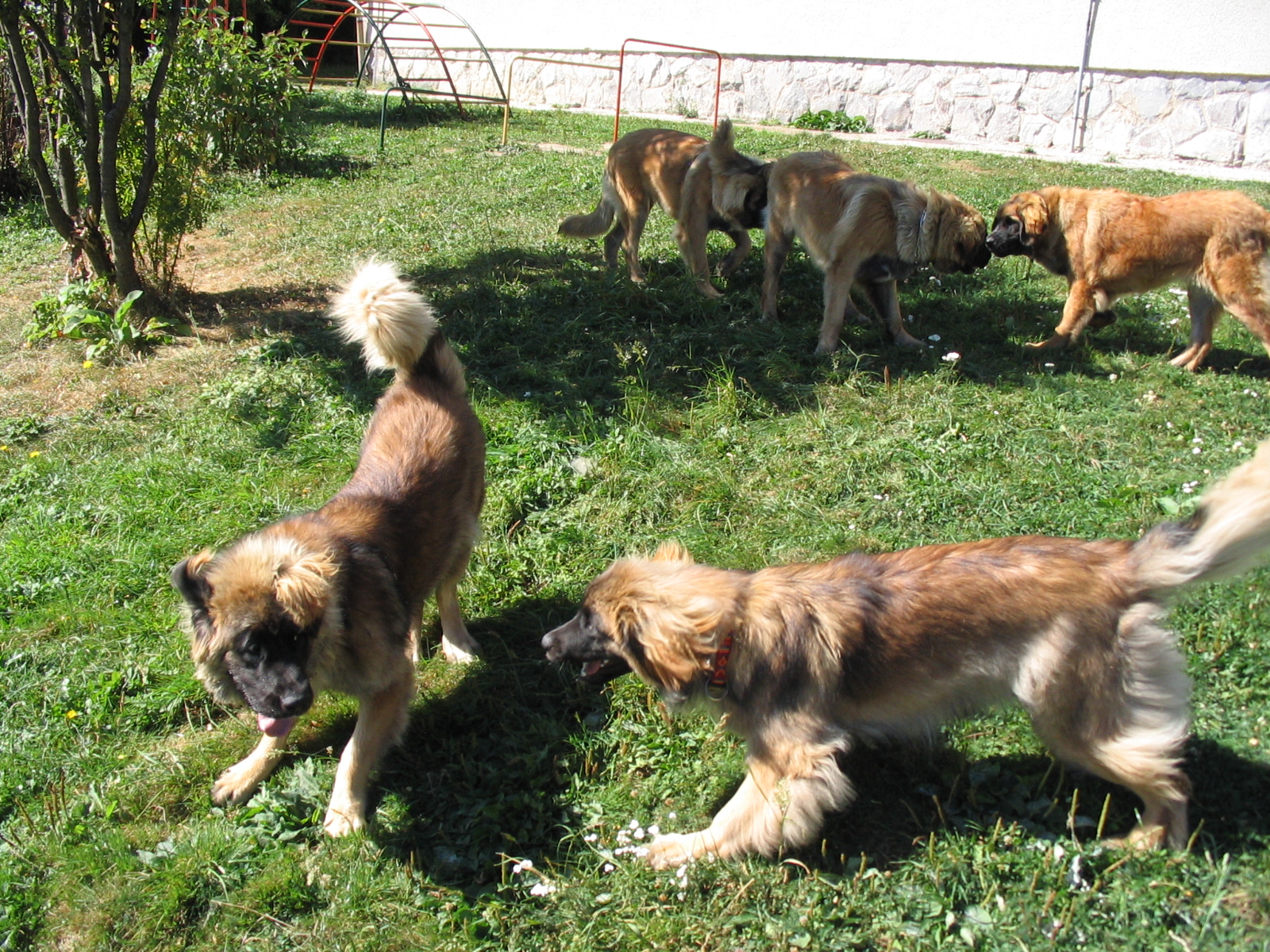 Tajov 086.jpg