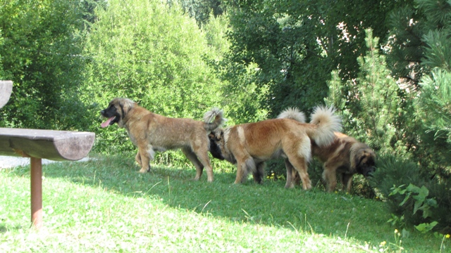 IMG_0760.JPG
