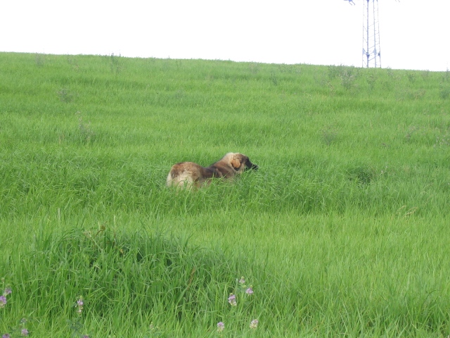 06.jpg