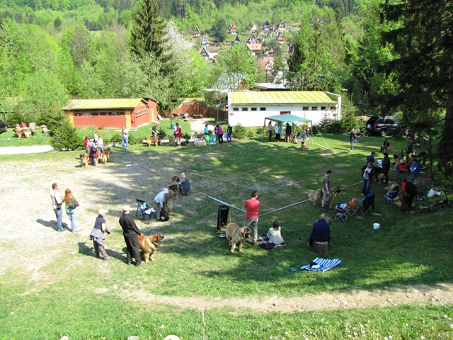 IMG_6005.JPG