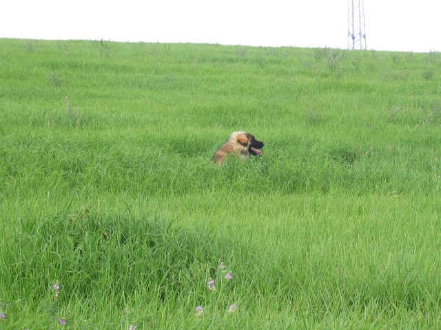 08.jpg